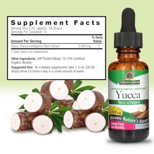 suplemento de yuca para el sistema inmunológico