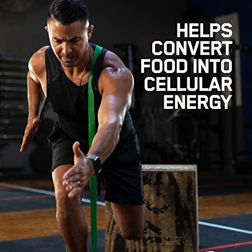 suplemento de zinc para entrenamiento intenso