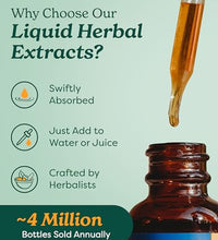 suplemento herbal de astrágalo para bienestar