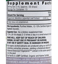 suplemento herbal de menta