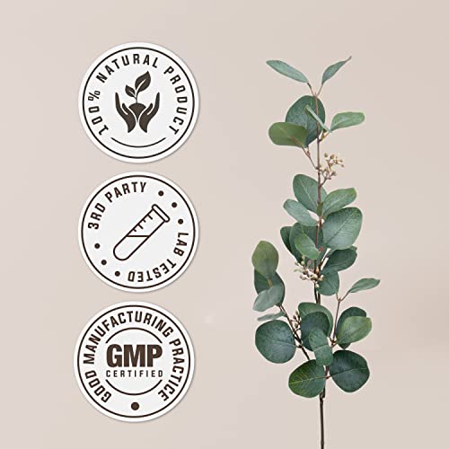 suplemento herbal de rhodiola para estrés