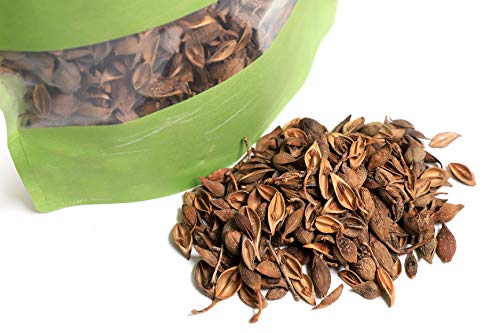Suplemento herbal Fruto de Forsythia 4 oz