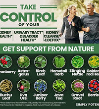 Suplemento herbal para salud renal