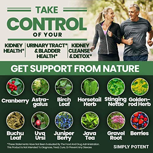 Suplemento herbal para salud renal