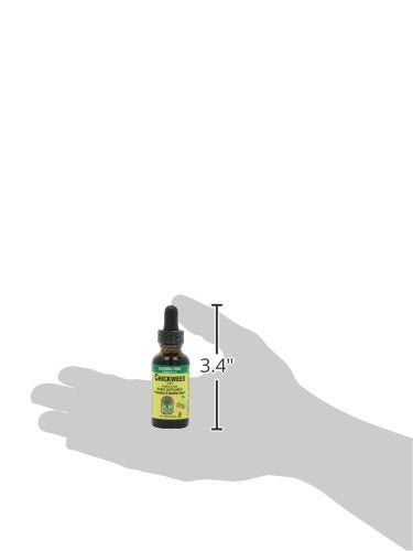 suplemento herbal vegano sin gluten