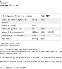 suplemento Kaxilu B12 para bienestar diario
