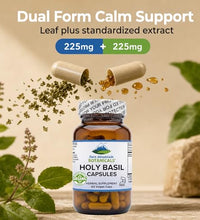 Suplemento kosher de albahaca sagrada