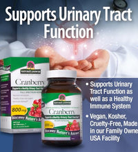 Suplemento kosher de frutas
