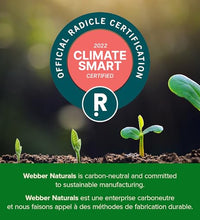 suplemento natural coenzima Q10 para bienestar