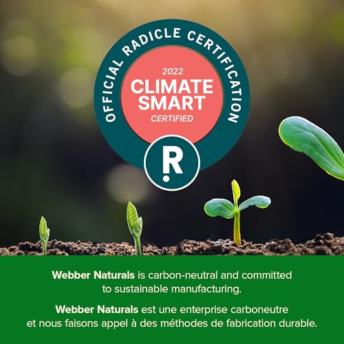suplemento natural coenzima Q10 para bienestar