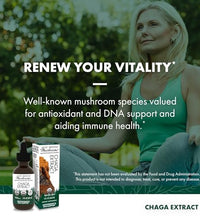 suplemento natural de chaga 2 fl oz
