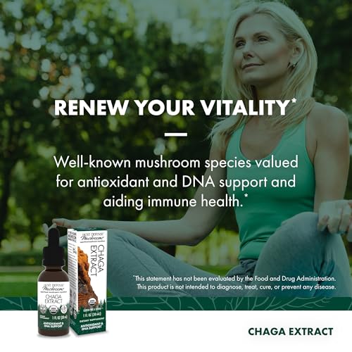 suplemento natural de chaga para bienestar
