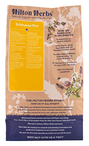 Suplemento natural de Echinacea efectivo