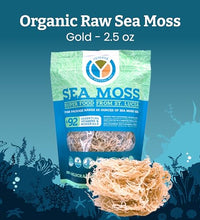 suplemento natural de musgo crudo