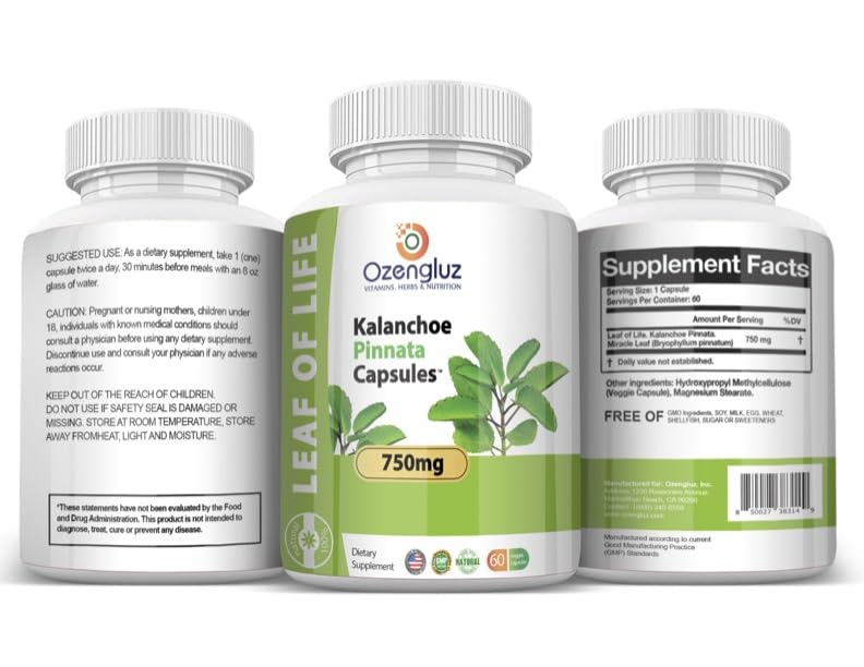 Suplemento natural Kalanchoe Pinnata
