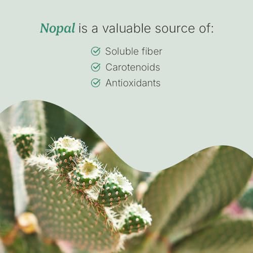 Suplemento natural para el bienestar