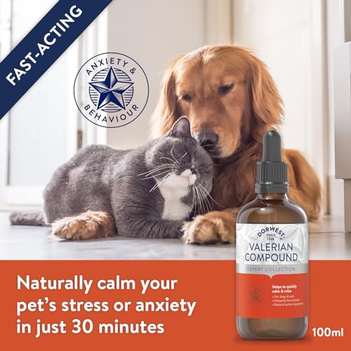 suplemento natural para estrés en mascotas