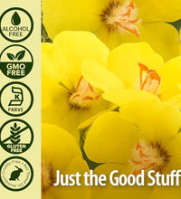 Suplemento natural sin gluten y alcohol