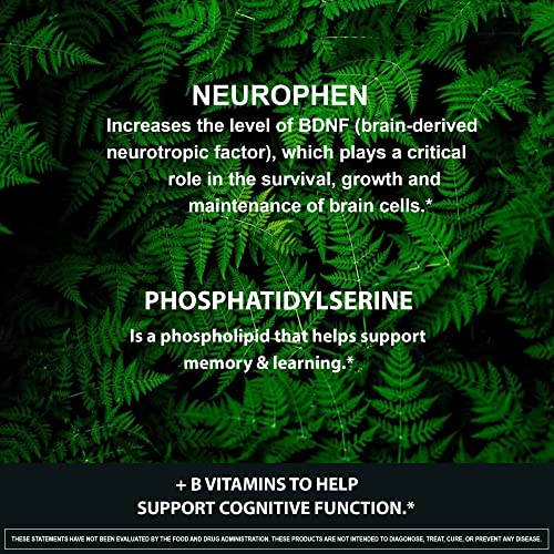 Suplemento NeuroPhen para un mejor rendimiento mental