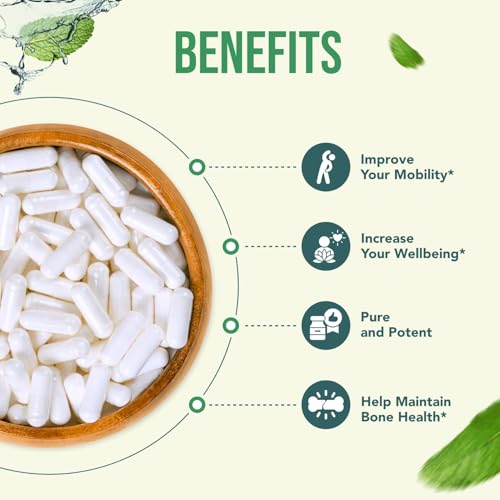 Suplemento no GMO de alta absorción