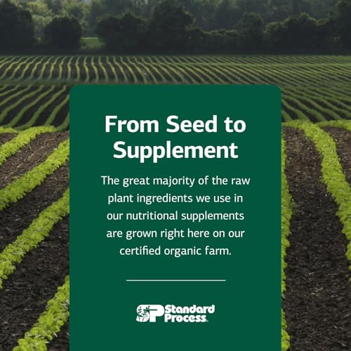 Suplemento nutritivo de Standard Process