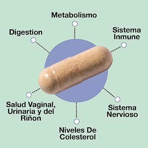 suplemento para mejorar la flora intestinal