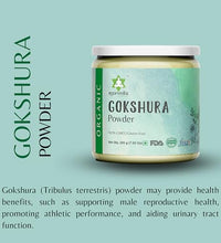 Suplemento vegano de Tribulus Terrestris