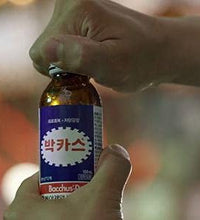Suplementos de ginseng para energía diaria