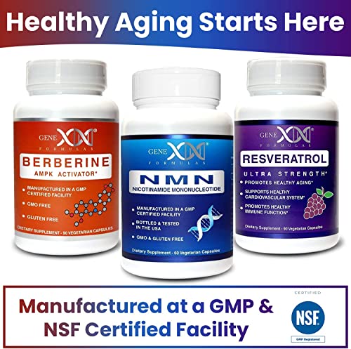 Suplementos naturales para vida activa