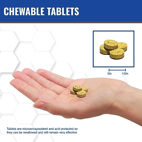 Tabletas de 50mg de NADH efectivas