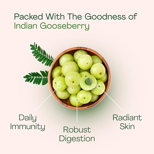 tabletas de amla para salud digestiva
