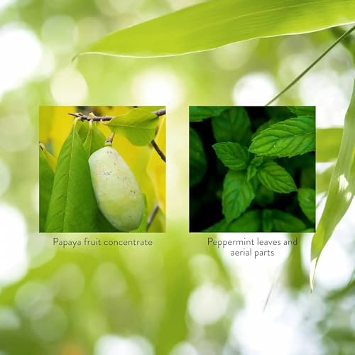 tabletas Nature's Sunshine para salud digestiva