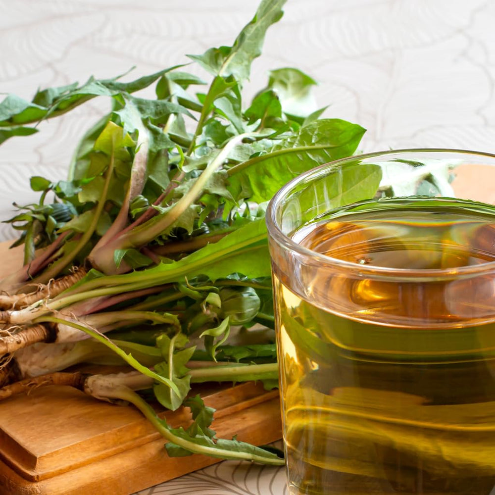 Té de Diente de León 2 oz