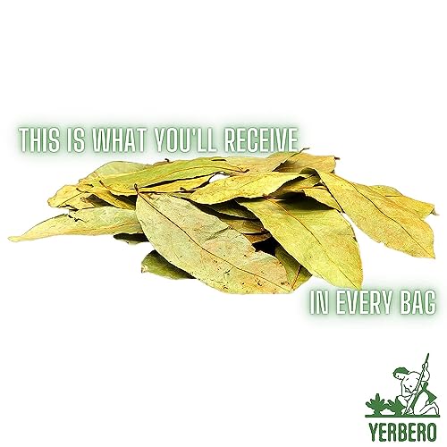 Té de hierbas Yerbero graviola