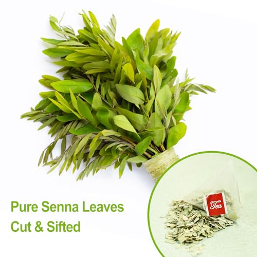 Té de Senna 50 piezas