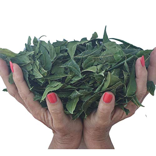 té neem para la salud