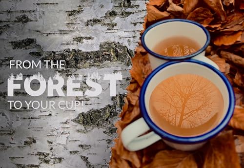 Té superfood de Chaga para energía