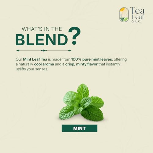 Tea Leaf & Co. infusión de menta