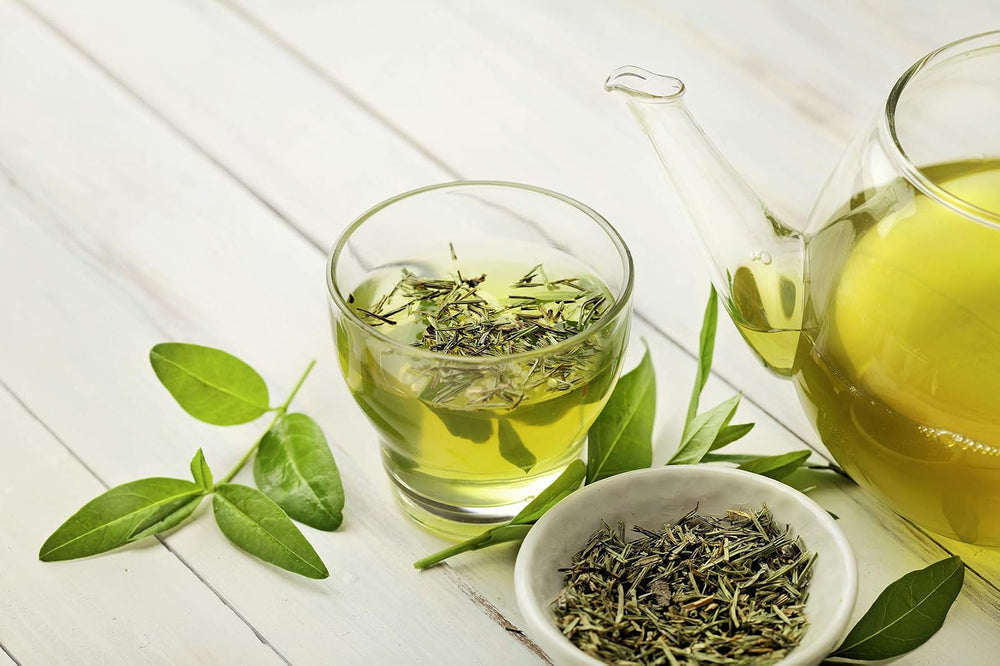 Tés e infusiones Messmer Té de Menta