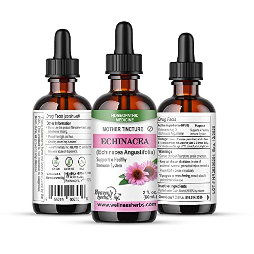Tinción madre de Echinacea para salud natural