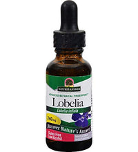 Tinte de Hierba Lobelia orgánico para salud