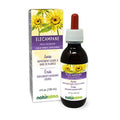 tinteura de raíz de elecampane natural