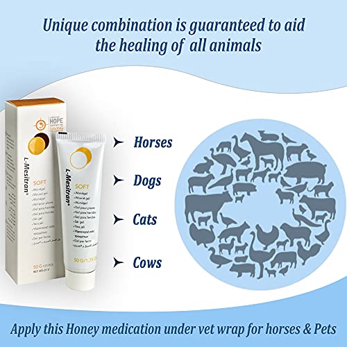 tratamiento antiinflamatorio para gatos