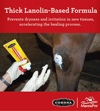 ungüento para cuidado muscular de caballos