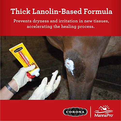 ungüento para cuidado muscular de caballos
