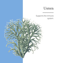 usnea para el bienestar diario