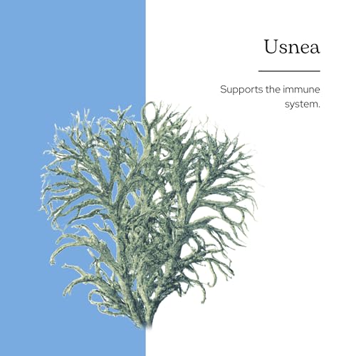 usnea para el bienestar diario