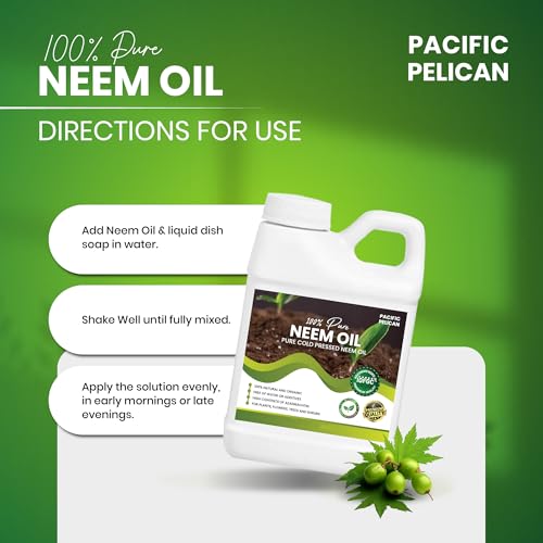 uso del aceite de neem en casa