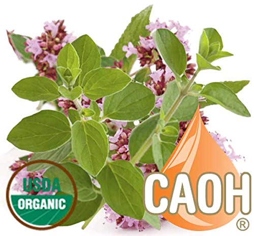 uso del aceite de orégano en cocina