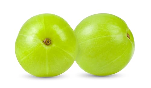 Uso del Amla en Ayurveda